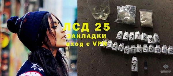 прущие грибы Рославль