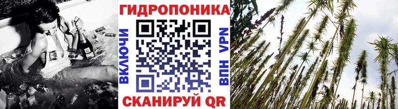 магазин продажи наркотиков  Дмитров  Канабис LSD WEED 